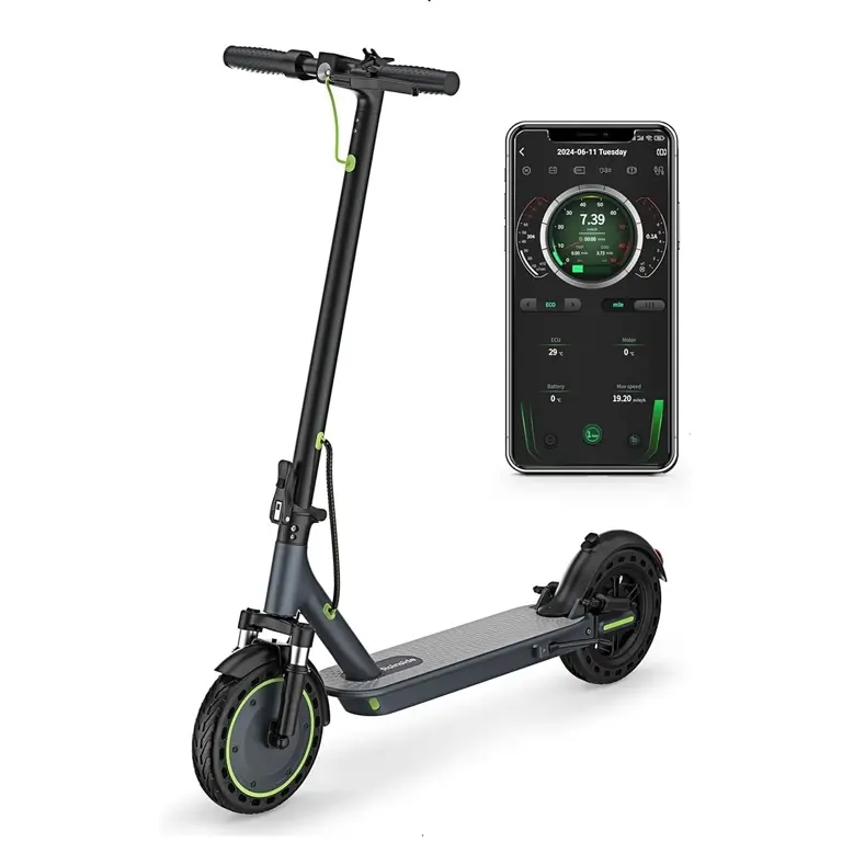 Roinside 10inch Electric Scooter