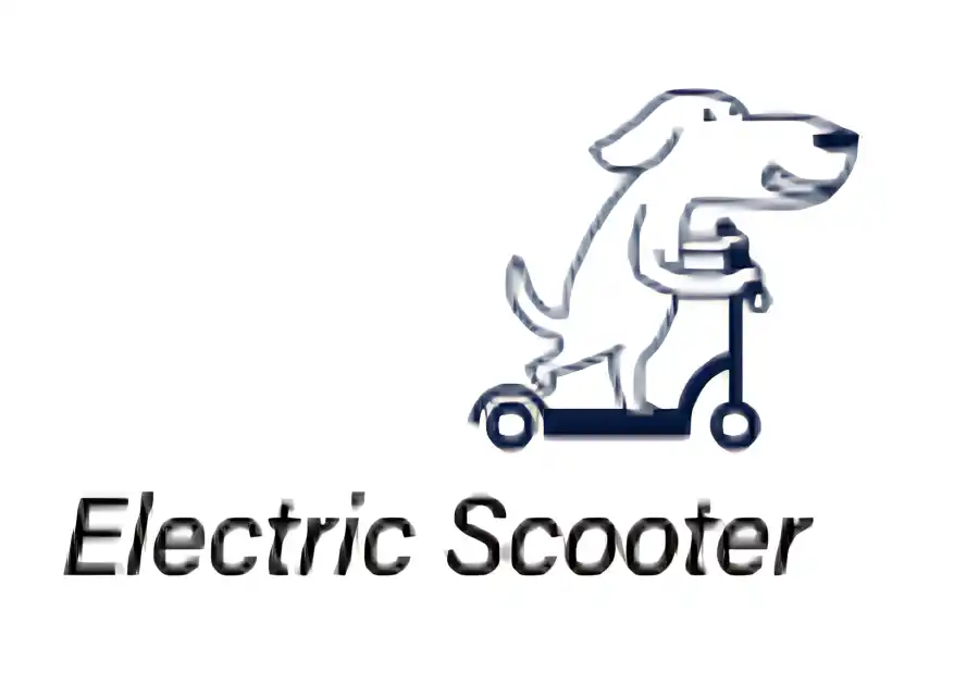 roinside official logo