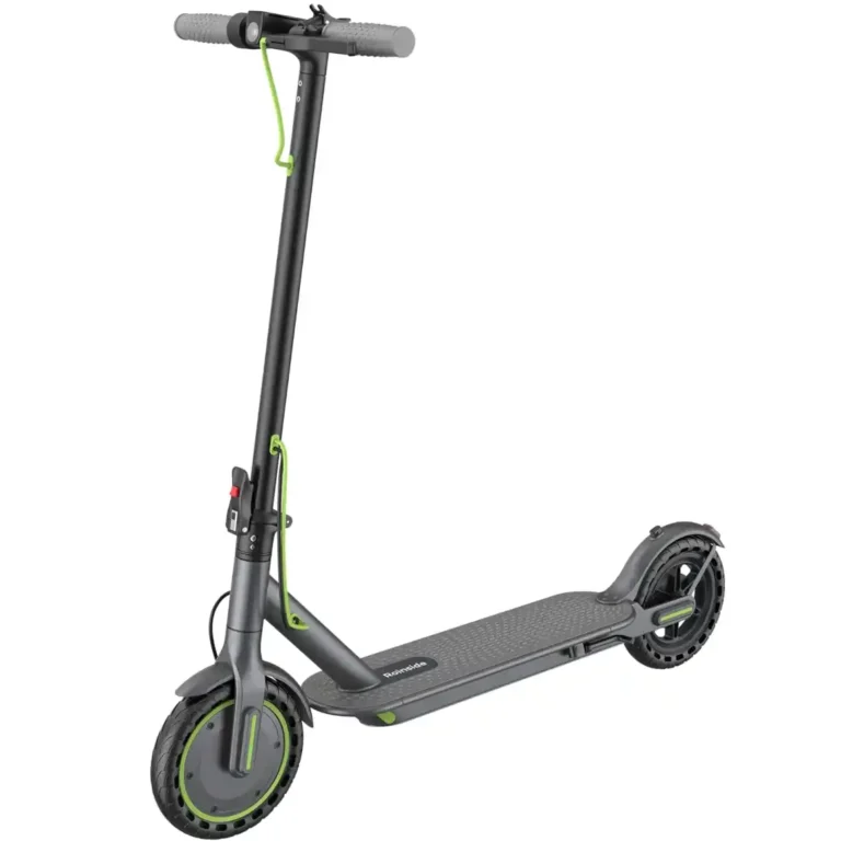 Roinside 10inch Electric Scooter