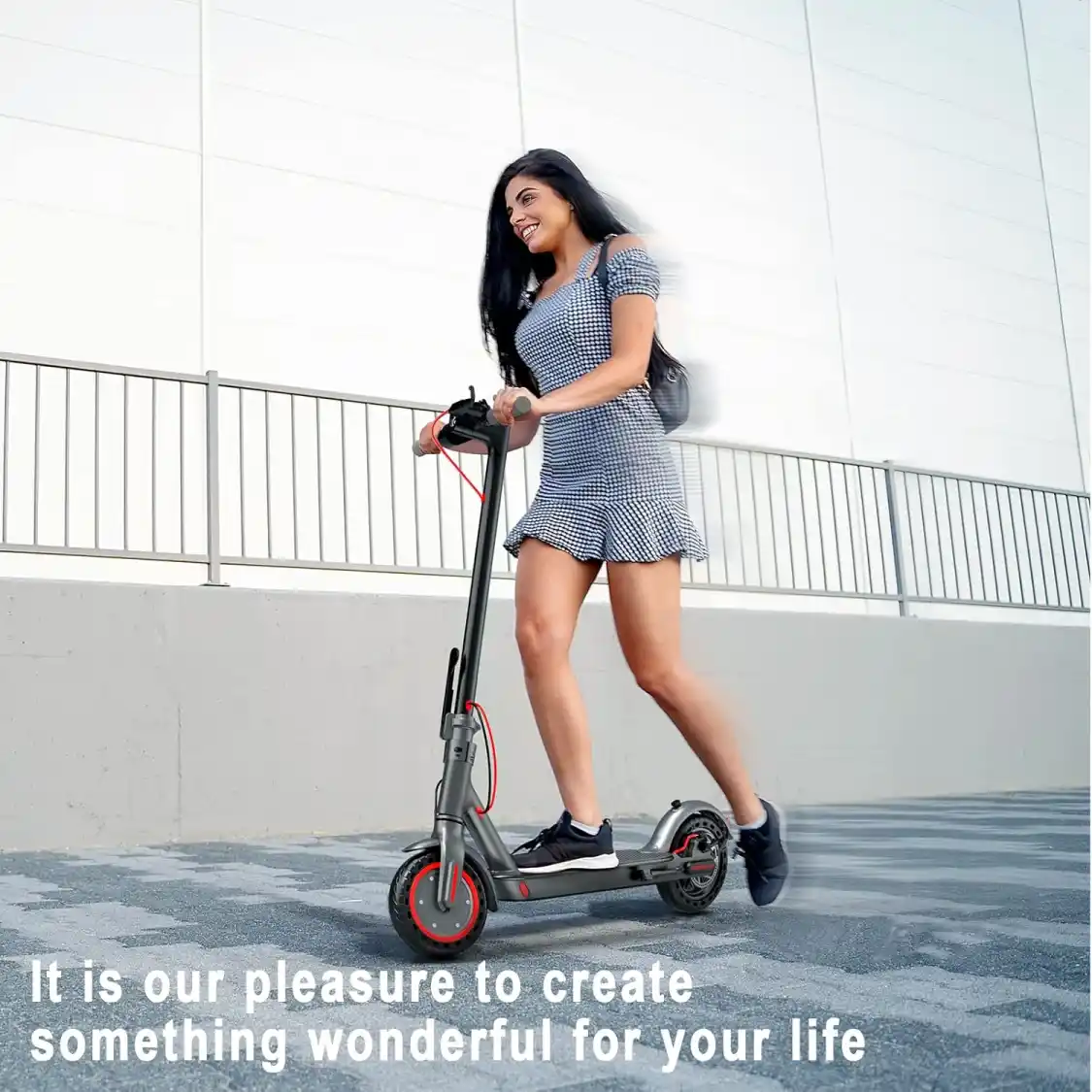 Roinside 10-Inch Electric Scooter